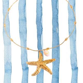 Star fish and shell necklace